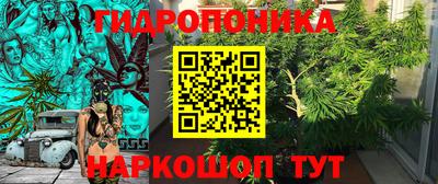 apvp Кунгур